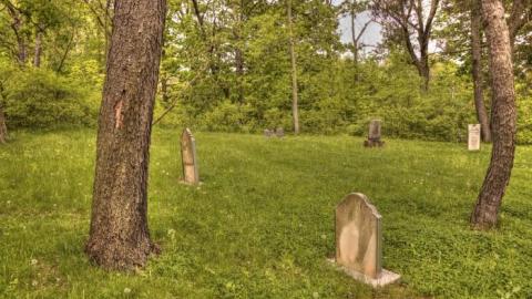 I Suffered Much  - DeForest-Cemetery17.jpg