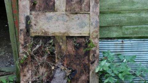 Oct '18 - DSC06735.jpg