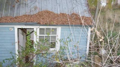 Barn & Property - Pleasantville-Abandoned-Farm53.jpg