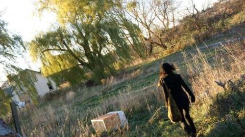 Barn & Property - Pleasantville-Abandoned-Farm55.jpg