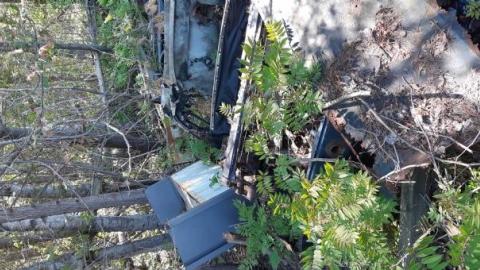 Mapleview Condemned Bungalows - 20190607_151032.jpg