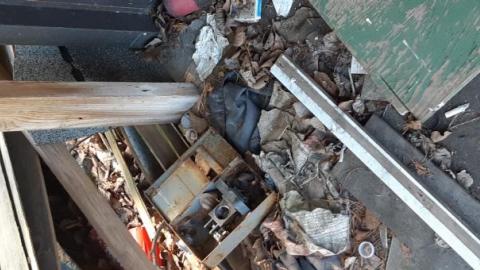 Mapleview Condemned Bungalows - 20190607_151045.jpg