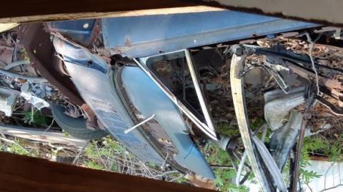 Mapleview Condemned Bungalows - 20190607_151104.jpg