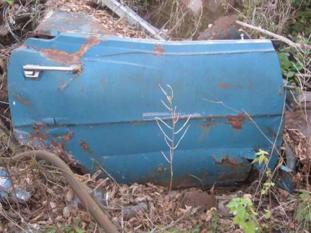 Fall 2011 - IMG_3669.jpg