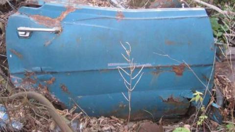 Cedar Mills Farm cover photo