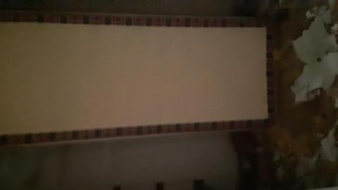 Mapleview Condemned Bungalows - 20190607_151931.jpg