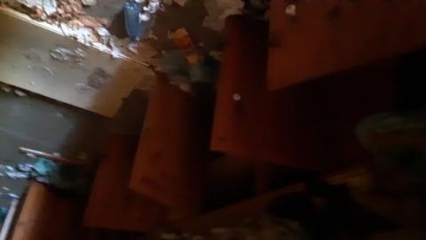 Mapleview Condemned Bungalows - 20190607_152029.jpg