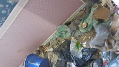 Mapleview Condemned Bungalows - 20190607_152723.jpg