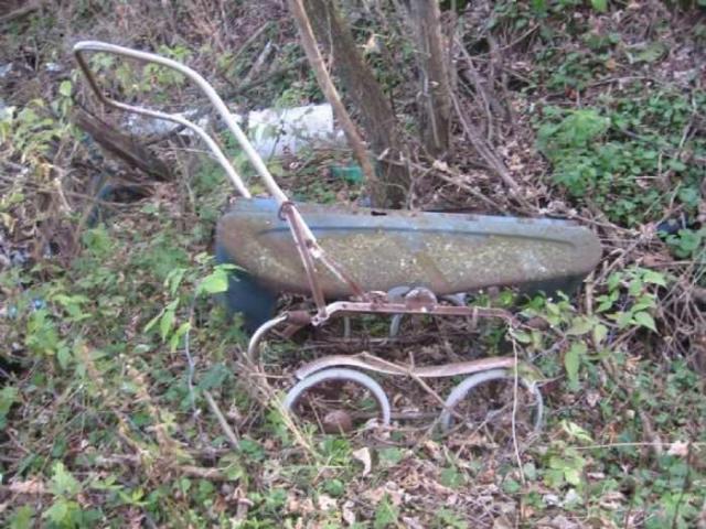 Fall 2011 - IMG_3670.jpg