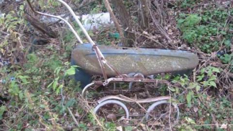 Fall 2011 - IMG_3670.jpg