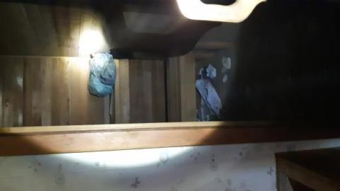 Mapleview Condemned Bungalows - 20190607_152829.jpg