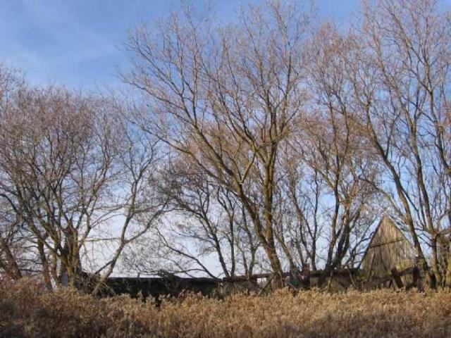 Fall 2011 - IMG_3654.jpg