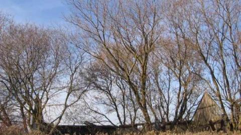 Fall 2011 - IMG_3654.jpg