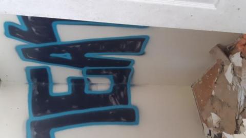 Mapleview Condemned Bungalows - 20190607_153959.jpg