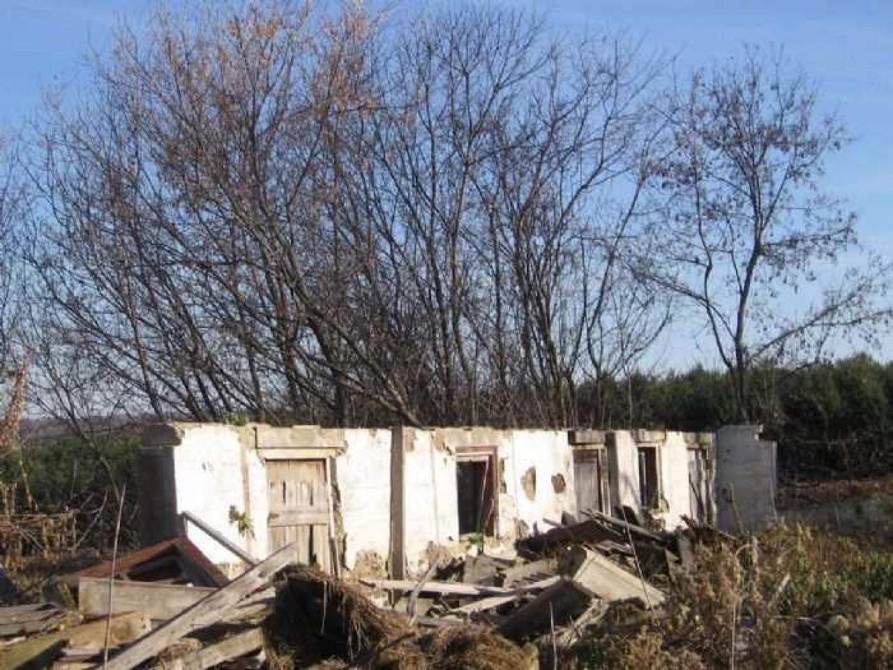 Fall 2011 - IMG_3655.jpg