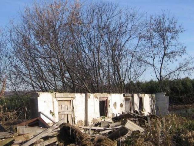 Fall 2011 - IMG_3655.jpg