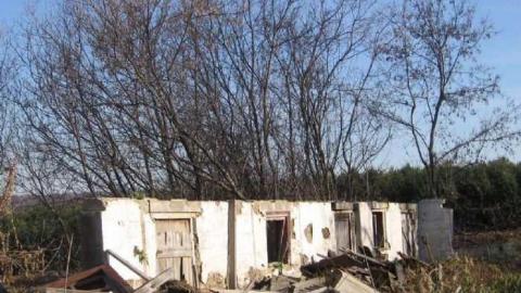 Fall 2011 - IMG_3655.jpg