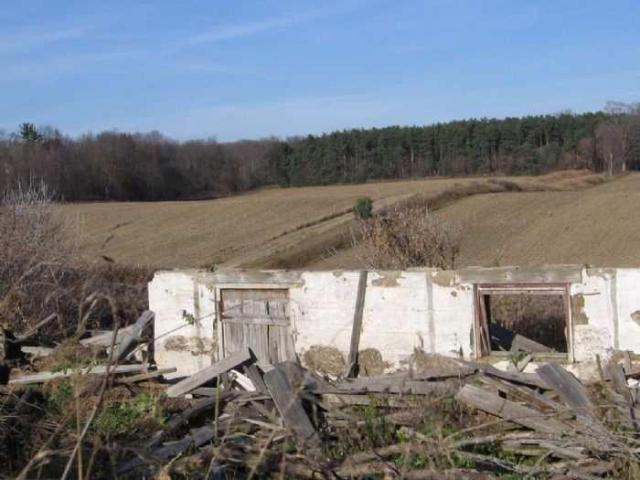 Fall 2011 - IMG_3656.jpg