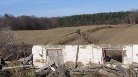 Fall 2011 - IMG_3656.jpg