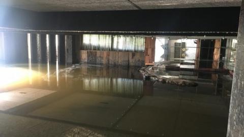 Photo from Nothing special