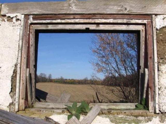 Fall 2011 - IMG_3659.jpg