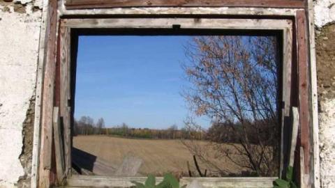 Fall 2011 - IMG_3659.jpg