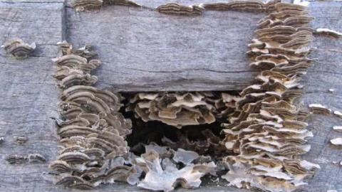 Fall 2011 - IMG_3660.jpg