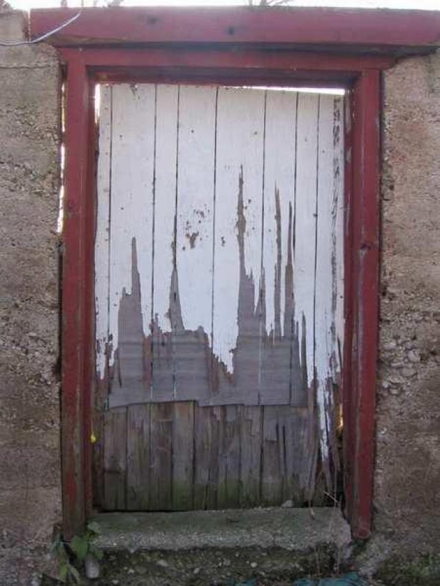 Fall 2011 - IMG_3662.jpg