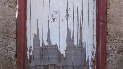 Fall 2011 - IMG_3662.jpg