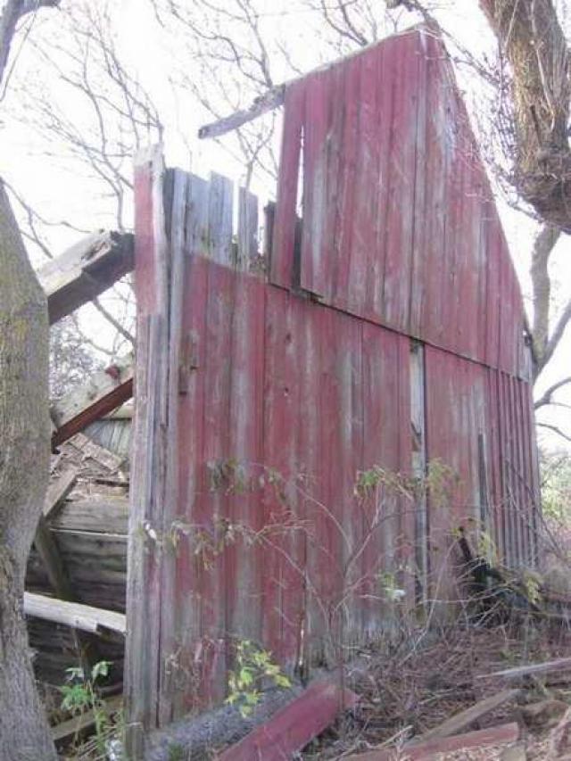 Fall 2011 - IMG_3666.jpg