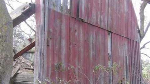 Fall 2011 - IMG_3666.jpg