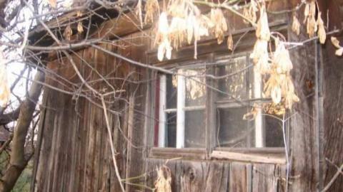 Fall 2011 - Mt-Wolfe-Farm4.jpg