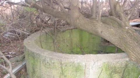 Fall 2011 - Mt-Wolfe-Farm9.jpg