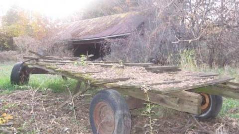 Fall 2011 - Mt-Wolfe-Farm10.jpg