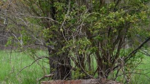 Back to Summer Camp - Abandoned-Wading-Pool15.jpg