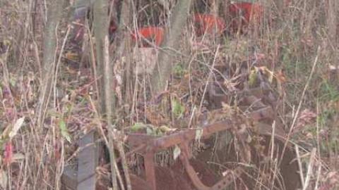 Fall 2011 - Mt-Wolfe-Farm11.jpg