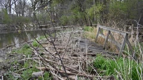 Back to Summer Camp - Abandoned-Wading-Pool42.jpg