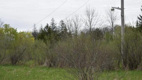 Back to Summer Camp - Abandoned-Wading-Pool43.jpg