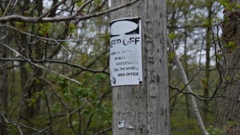 Back to Summer Camp - Abandoned-Wading-Pool10.jpg