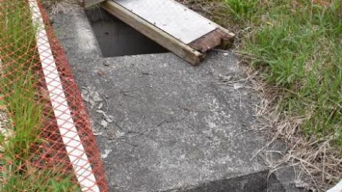 Photo from Back to Summer Camp