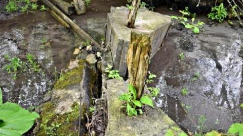 Back to Summer Camp - Abandoned-Wading-Pool41.jpg