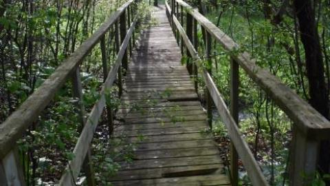 Back to Summer Camp - Abandoned-Wading-Pool7.jpg