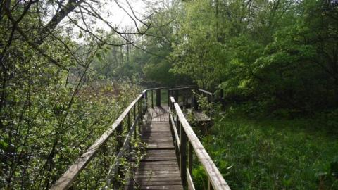 Back to Summer Camp - Abandoned-Wading-Pool8.jpg