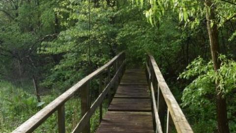 Photo from Back to Summer Camp