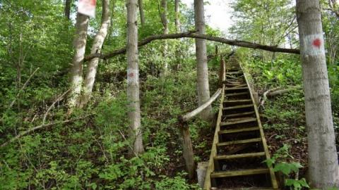 Back to Summer Camp - Abandoned-Wading-Pool18.jpg