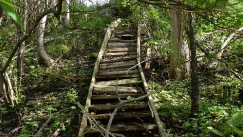 Back to Summer Camp - Abandoned-Wading-Pool3.jpg