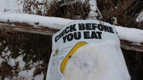 A Very Delayed Post - Burys-Green--tractor-graveyard16.jpg