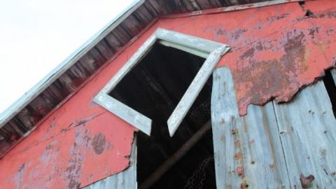 Scared Chipmunk & Footsteps - IMG_1990.jpg