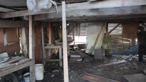 Scared Chipmunk & Footsteps - IMG_1991.jpg