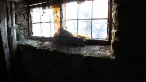 Scared Chipmunk & Footsteps - IMG_1997.jpg